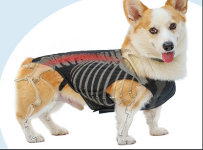 Dog Disc Protection Support Vest